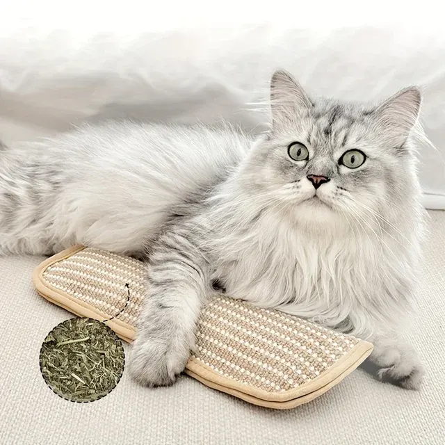 Kaubeständiges Katzenkissen mit Kratzunterlage 4