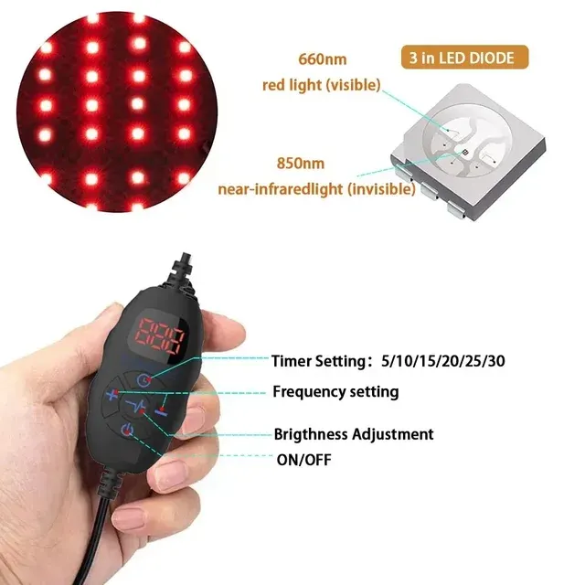Rotlicht-Gürtel 4